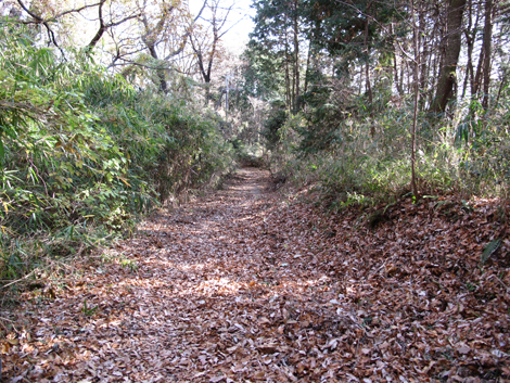 20131223hike (428)